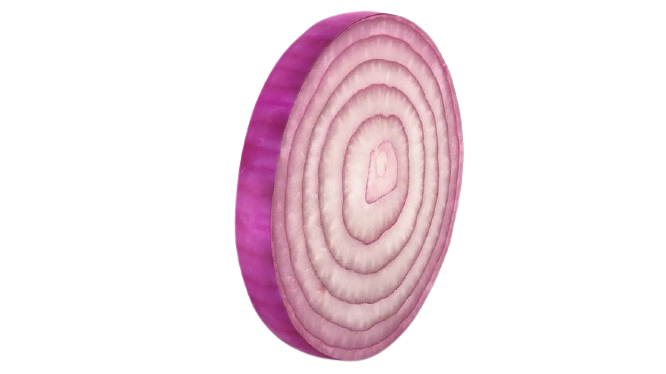 Decorative Onion